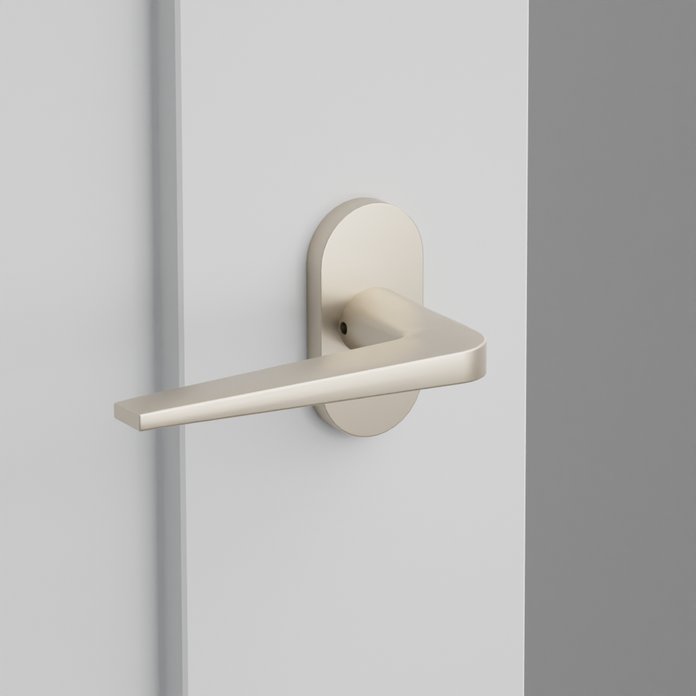 Exterior render - cgrender/InteriorPassagePrivacyDummy/default/h.lever_ATN.finish_US15/r.rosette_dummy_5803.finish_US15.png