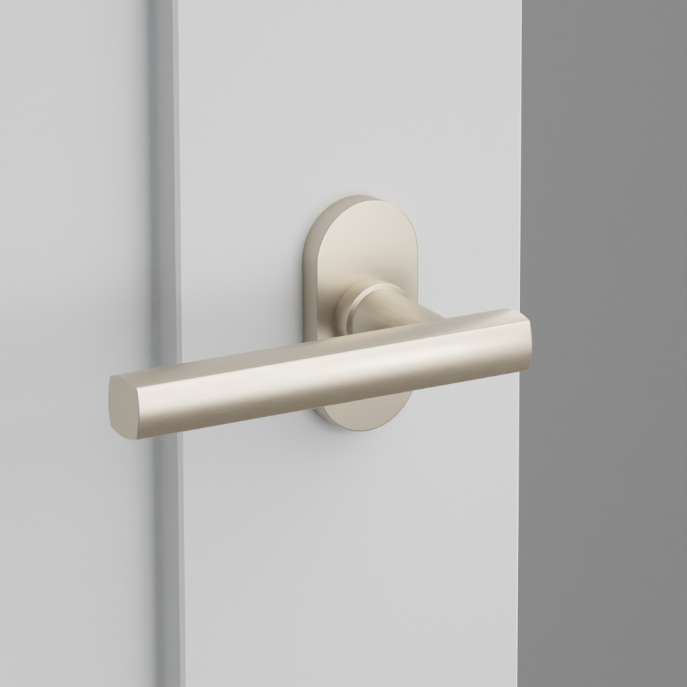 Exterior render - cgrender/InteriorPassagePrivacyDummy/default/h.lever_FRL.finish_US15/r.rosette_dummy_5803.finish_US15.png
